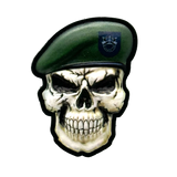 Green Beret Skull PVC Morale Patch - Tactical Outfitters