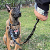 Strike Leash - Tactical Outfitters